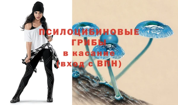 стаф Пестово
