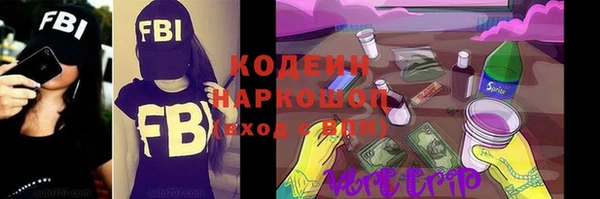 индика Покачи