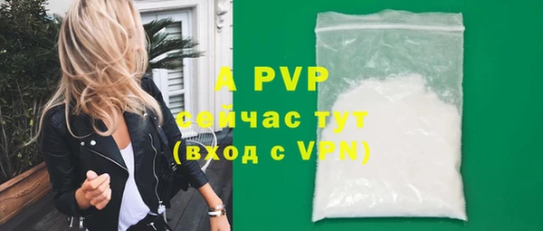 индика Покачи