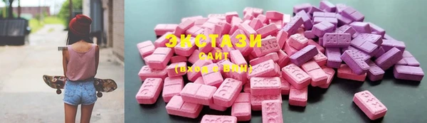 индика Покачи