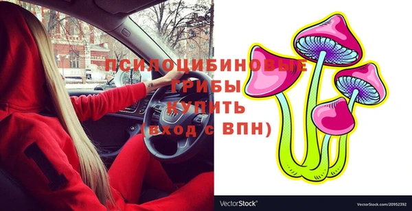 apvp Покровск