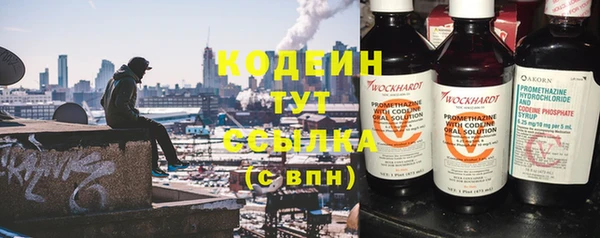 индика Покачи