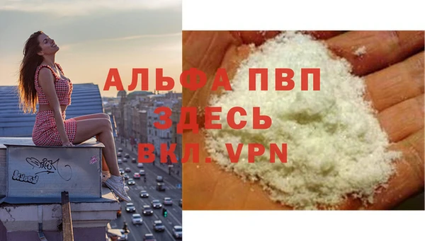 стаф Пестово