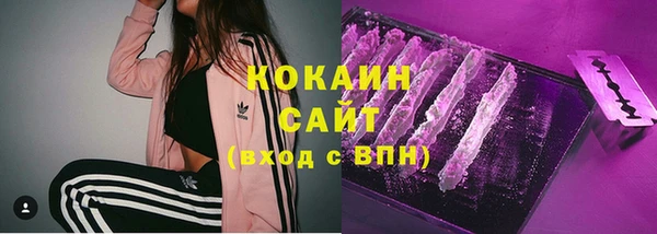 стаф Пестово