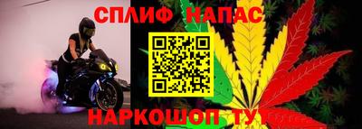 молекула духа Бийск