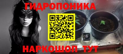 молекула духа Бийск