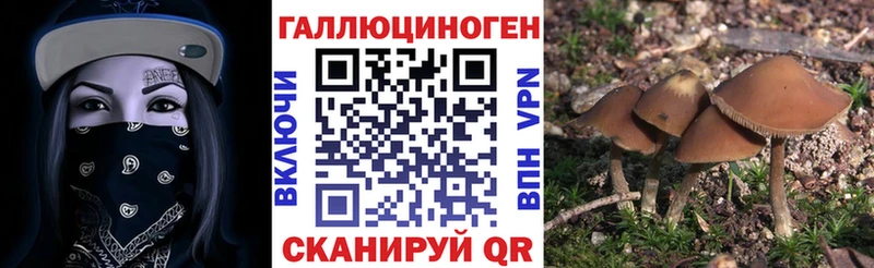 Псилоцибиновые грибы Psilocybine cubensis  где продают наркотики  МЕГА рабочий сайт  Полысаево 