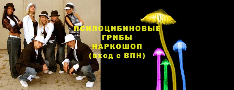 Галлюциногенные грибы Magic Shrooms  Полысаево 