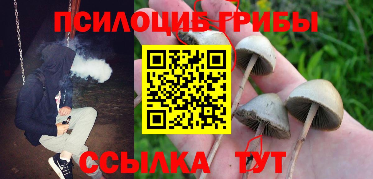 Полысаево  Галлюциногенные грибы мухоморы  Вход с VPN 