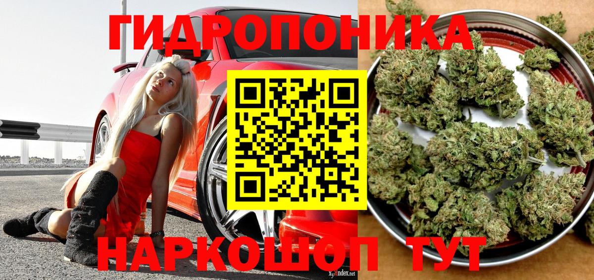 Марихуана гибрид Полысаево